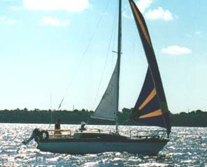 SeaGoose1
