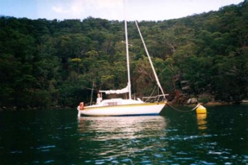 tiarrie-1